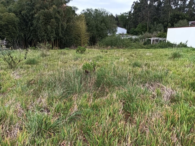Terreno para Venda em Ílhavo (São Salvador) Foto 4
