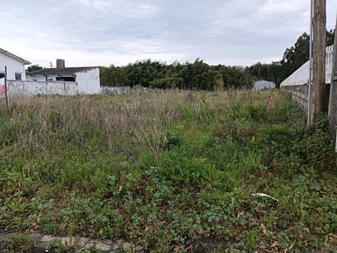 Terreno para Venda em Ílhavo (São Salvador) Foto 5