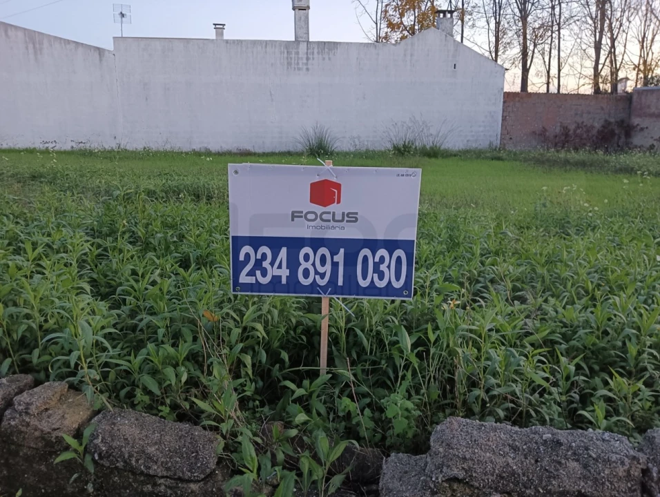 Terreno para Venda em Bustos, Troviscal e Mamarrosa Foto 1