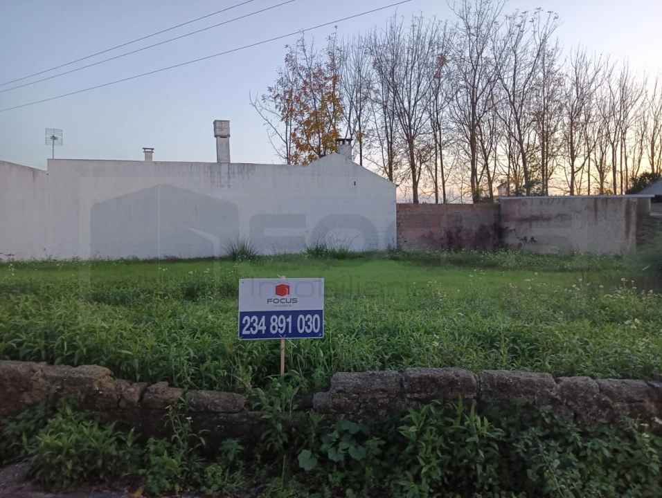 Terreno para Venda em Bustos, Troviscal e Mamarrosa Foto 20