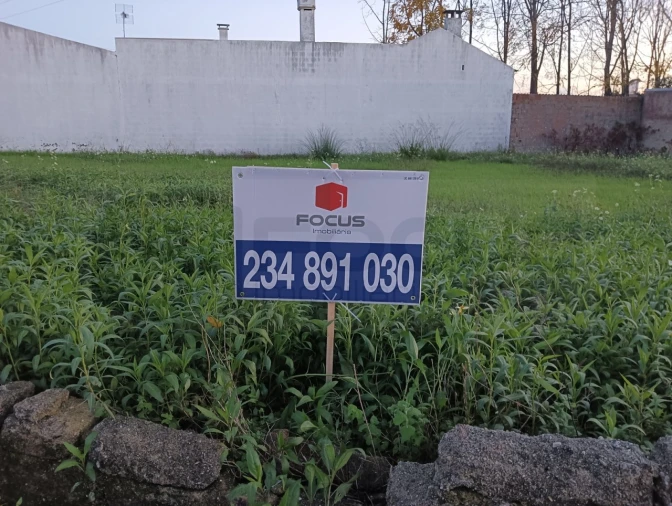 Terreno para Venda em Bustos, Troviscal e Mamarrosa Foto 17