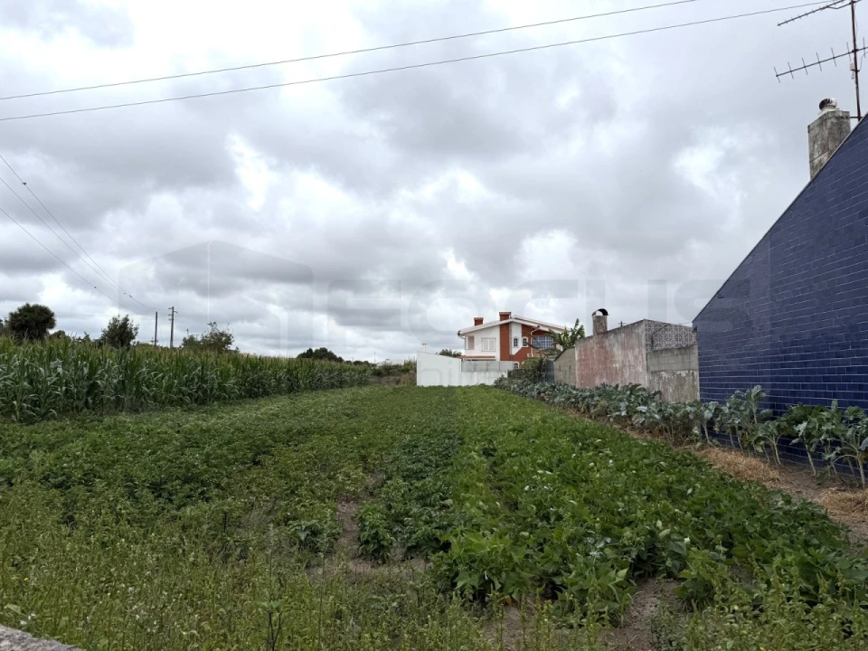 Terreno para Venda em São Bernardo Foto 3