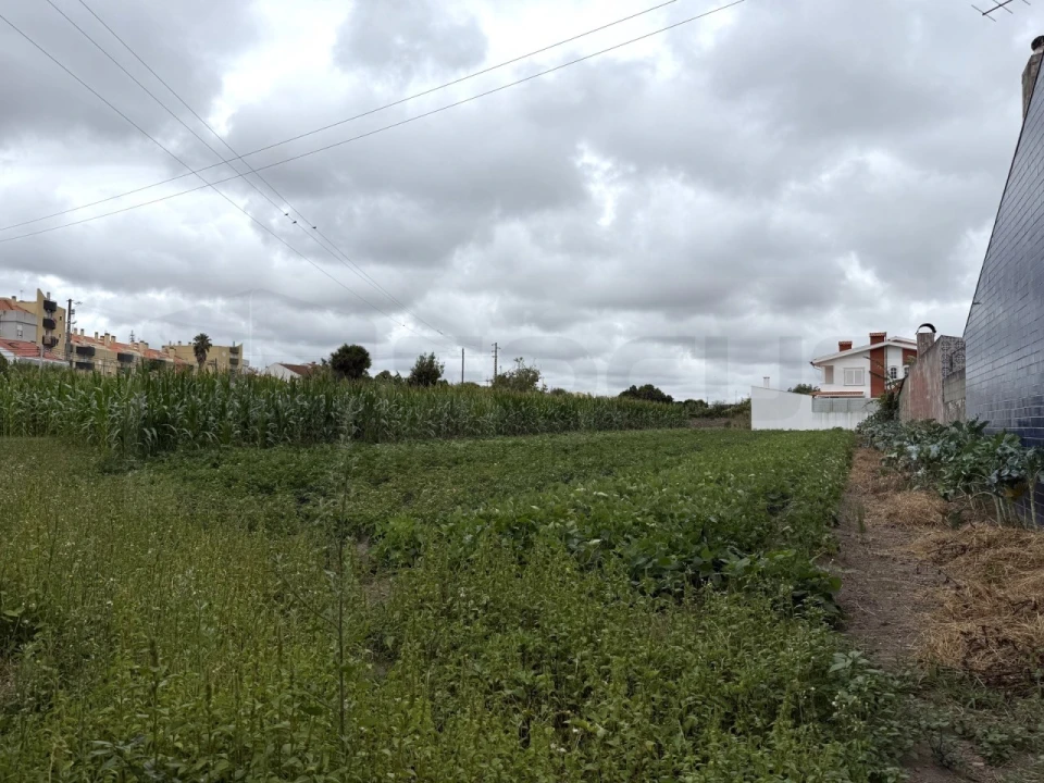 Terreno para Venda em São Bernardo Foto 12