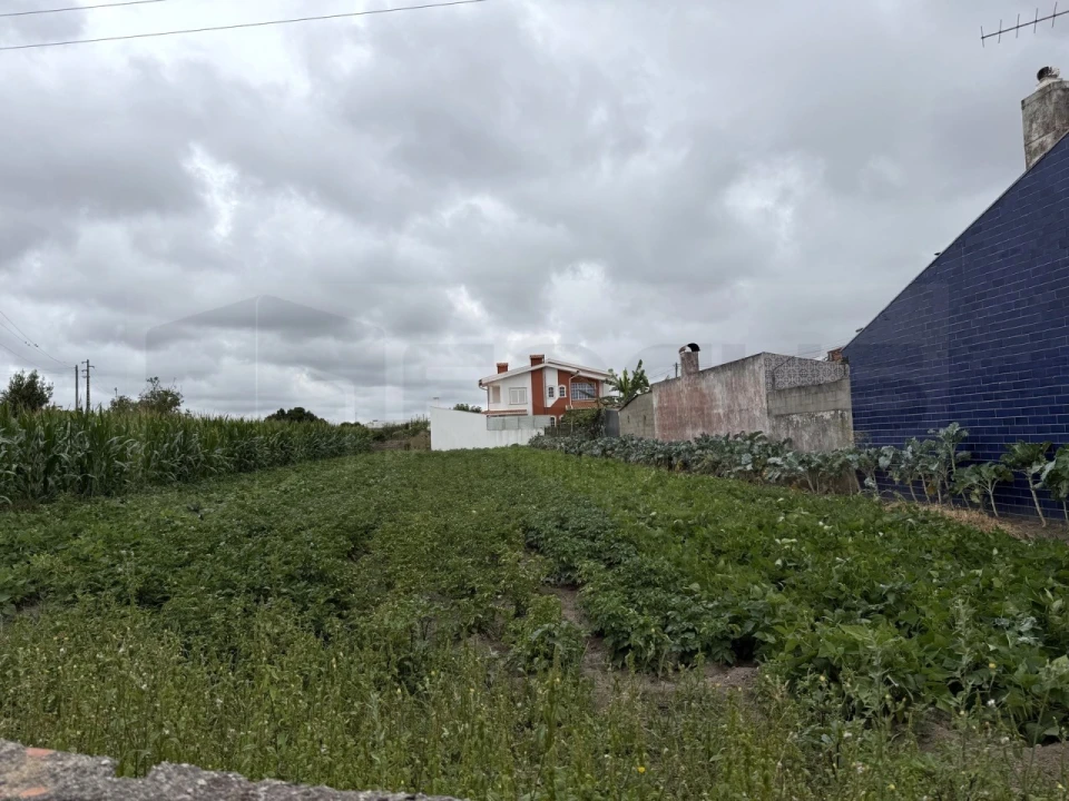 Terreno para Venda em São Bernardo Foto 17