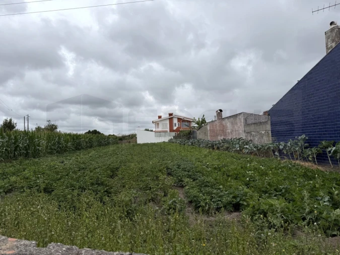 Terreno para Venda em São Bernardo Foto 19