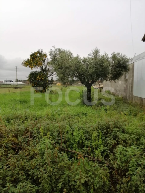Terreno para Venda em Oliveirinha