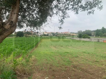 Terreno para Venda em Eixo e Eirol