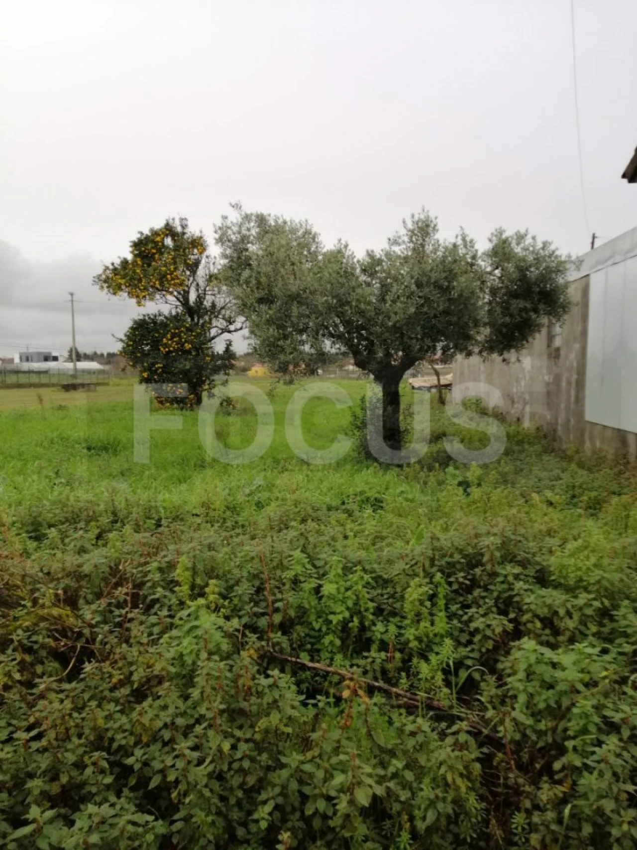 Terreno para Arrendamento em Oliveirinha Foto 1