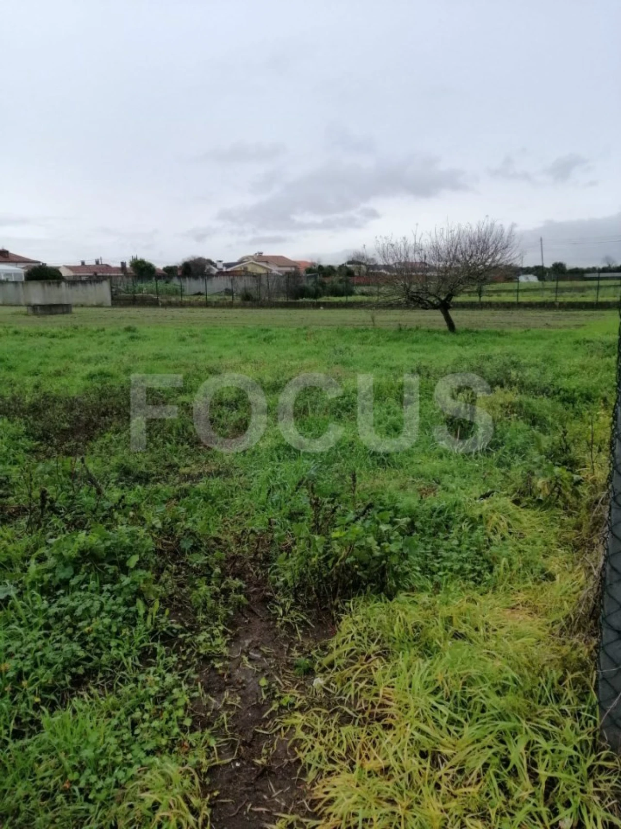 Terreno para Arrendamento em Oliveirinha Foto 2