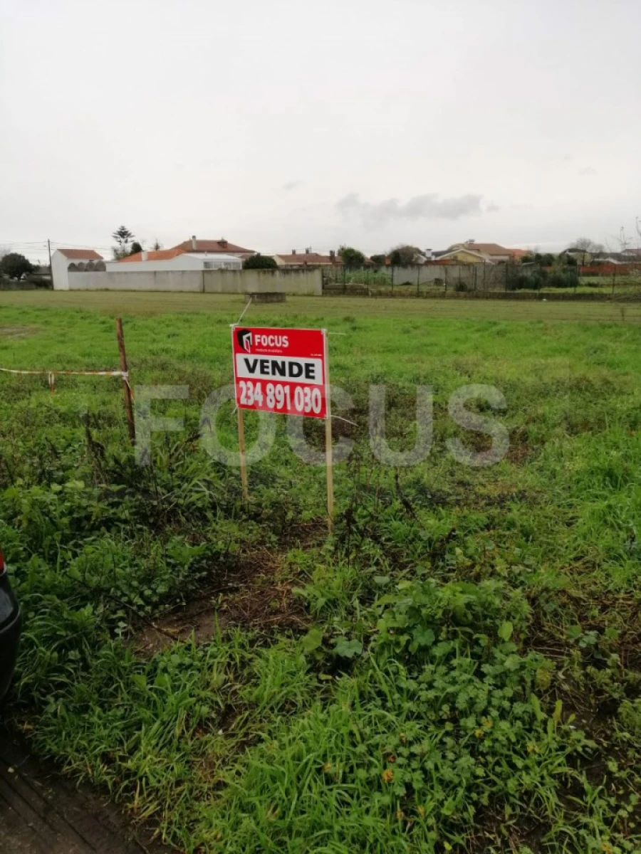 Terreno para Arrendamento em Oliveirinha Foto 3
