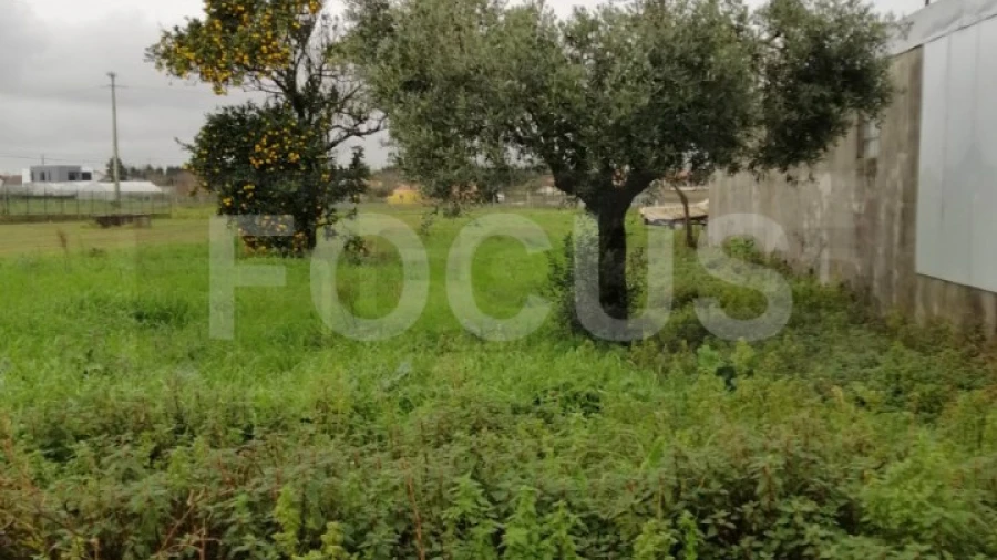 Terreno para Arrendamento em Oliveirinha