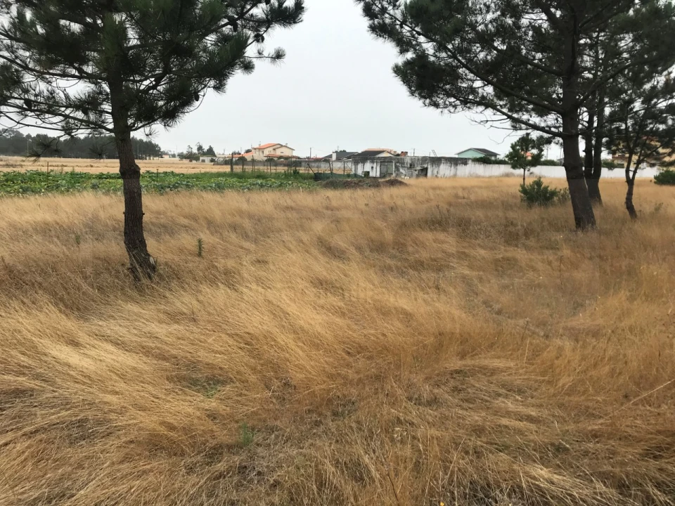 Terreno para Venda em Gafanha do Carmo Foto 4