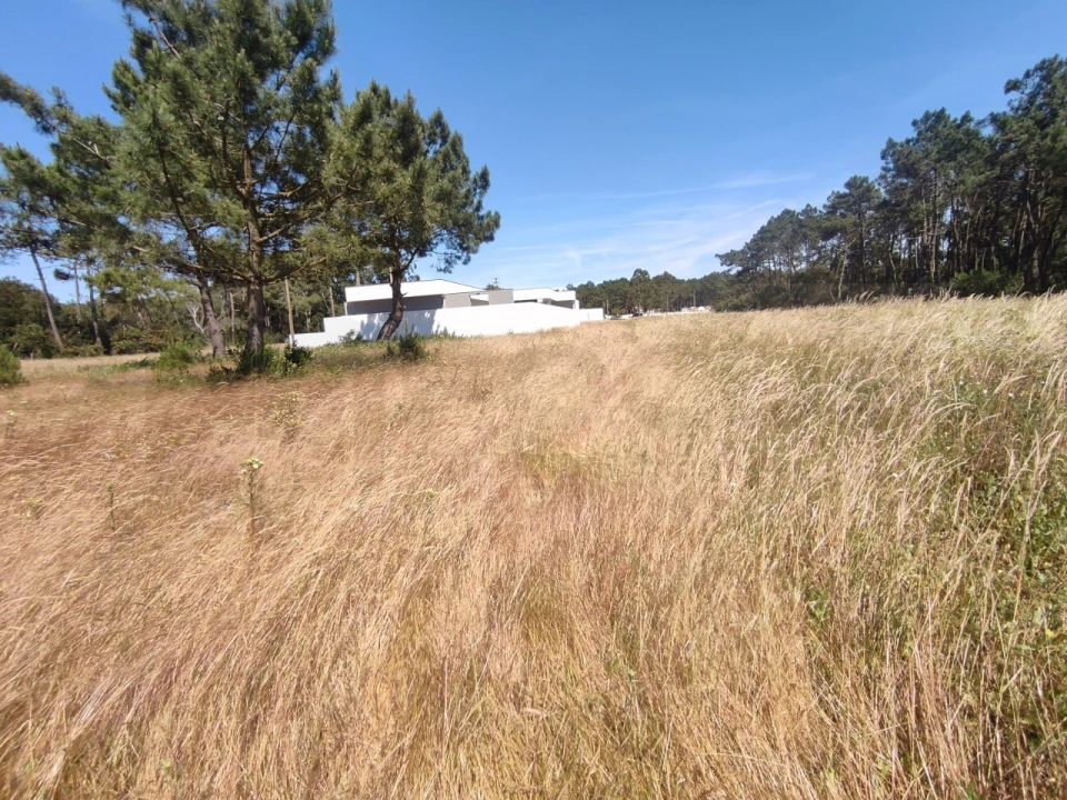 Terreno para Venda em Gafanha do Carmo Foto 14