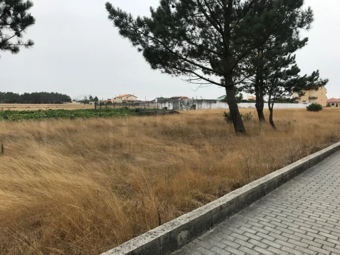 Terreno para Venda em Gafanha do Carmo Foto 2