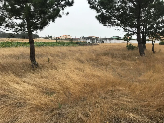 Terreno para Venda em Gafanha do Carmo Foto 4