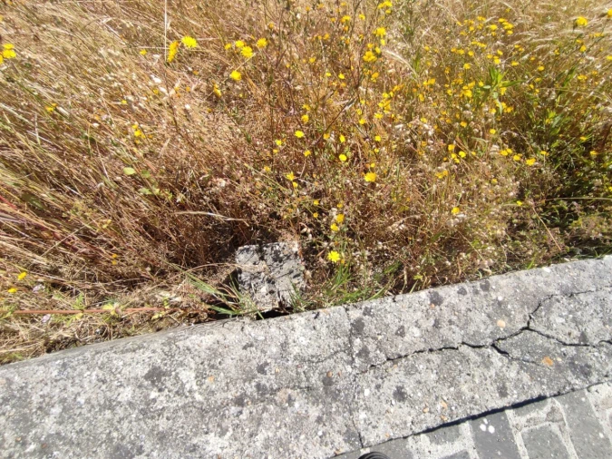 Terreno para Venda em Gafanha do Carmo Foto 17
