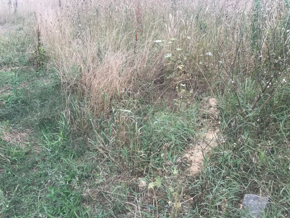 Terreno para Venda em Salreu Foto 3