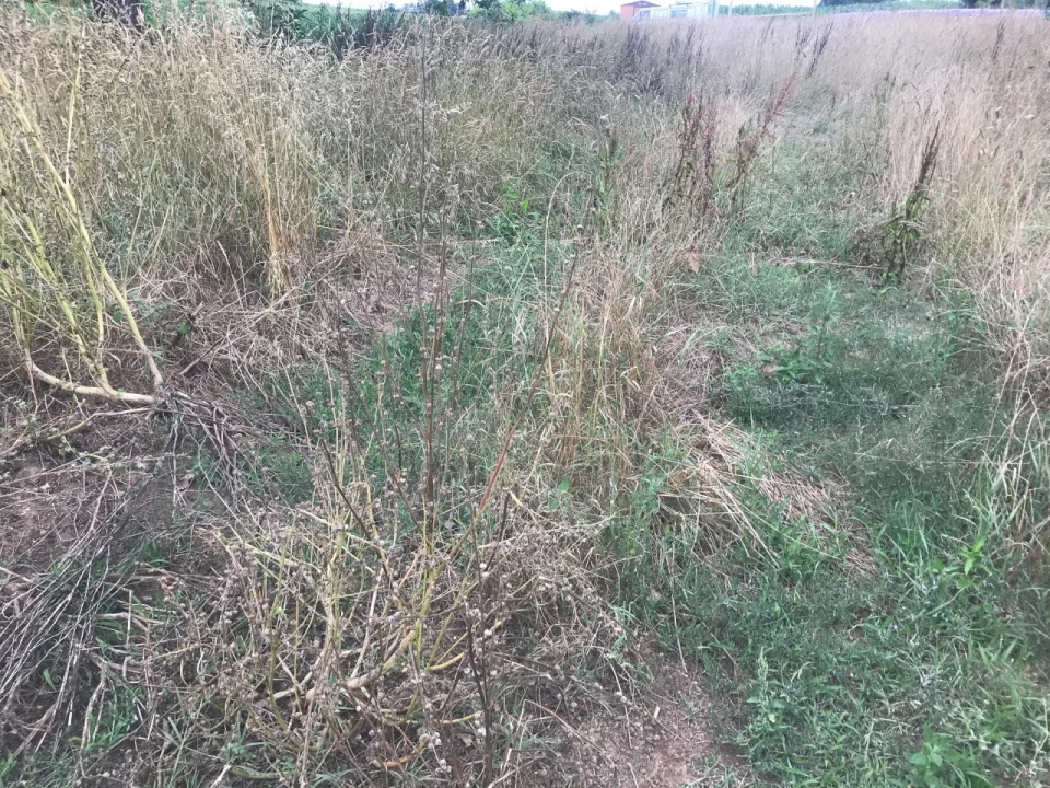 Terreno para Venda em Salreu Foto 4