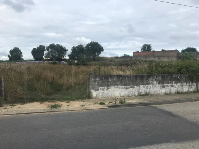 Terreno para Venda em Salreu Foto 2