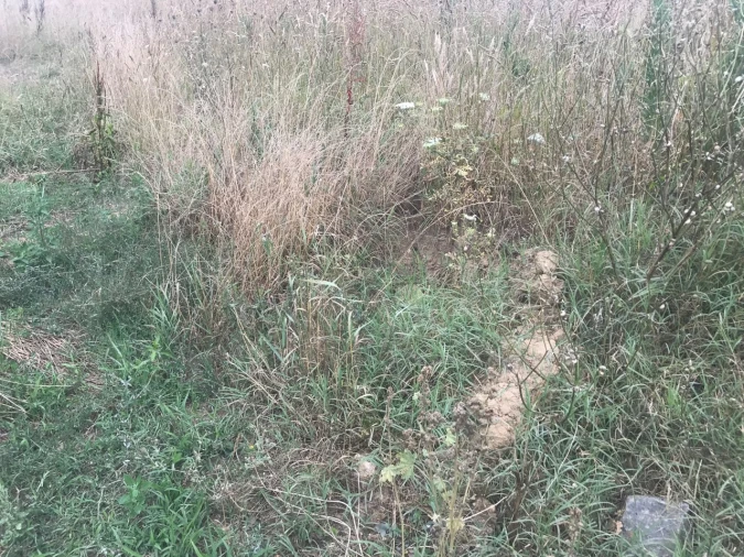 Terreno para Venda em Salreu Foto 3