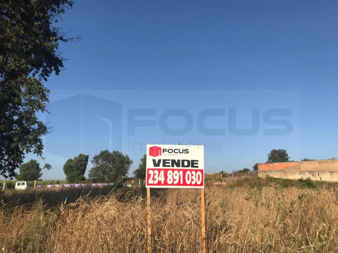 Terreno para Venda em Salreu Foto 6