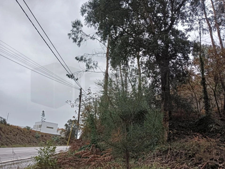 Terreno para Venda em Eixo e Eirol Foto 18