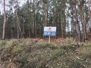 Terreno para Venda em Eixo e Eirol