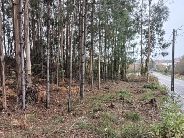 Terreno para Venda em Eixo e Eirol