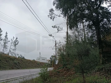 Terreno para Venda em Eixo e Eirol