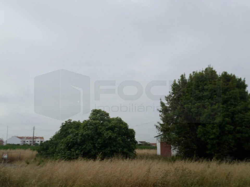 Terreno para Venda em São Bernardo Foto 1
