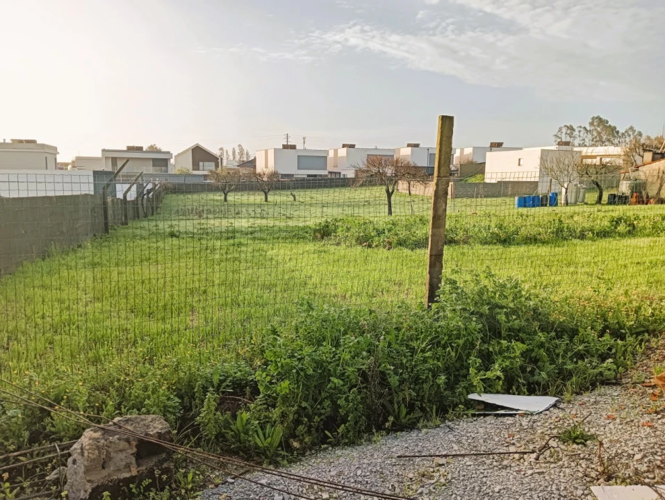 Terreno para Venda em Albergaria-A-Velha e Valmaior Foto 6