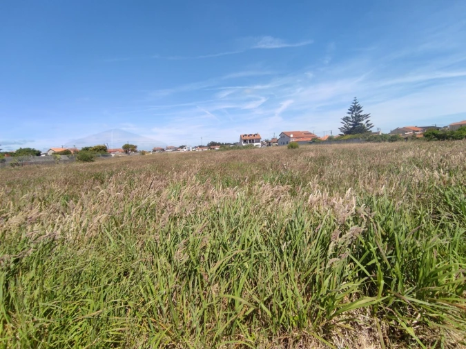 Terreno para Venda em Gafanha da Encarnação Foto 19