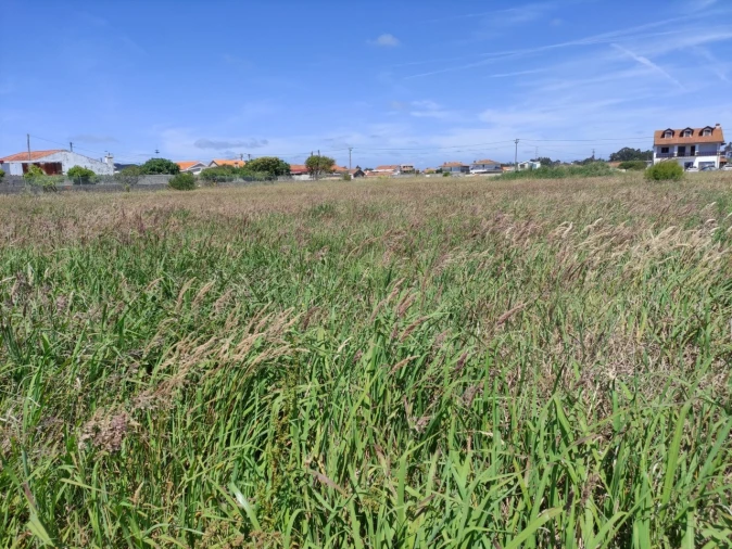 Terreno para Venda em Gafanha da Encarnação Foto 20