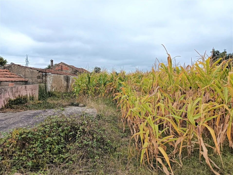 Terreno para Venda em Beduído e Veiros Foto 4