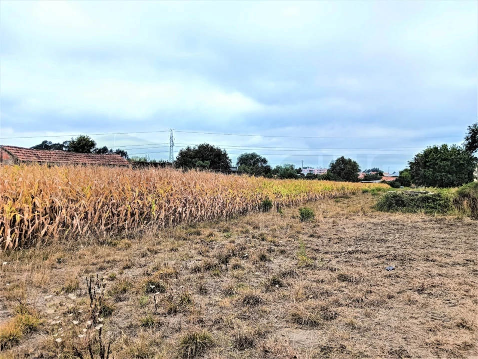 Terreno para Venda em Beduído e Veiros Foto 6