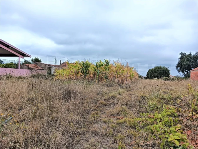 Terreno para Venda em Beduído e Veiros Foto 3