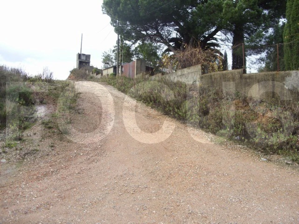 Terreno para Venda em Oliveira do Bairro Foto 4