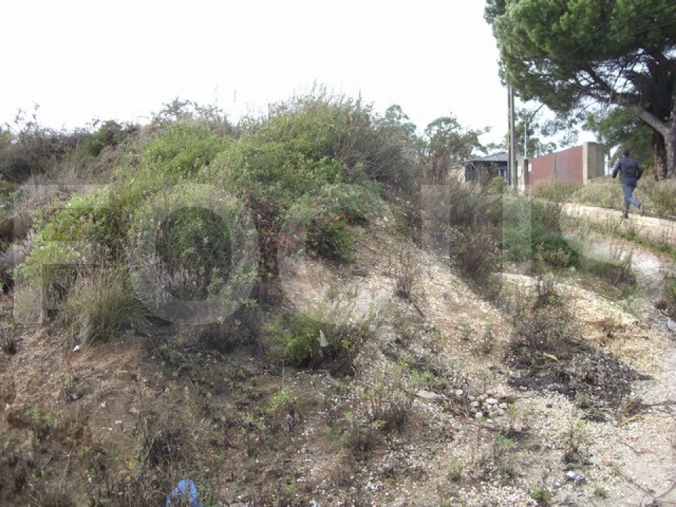 Terreno para Venda em Oliveira do Bairro Foto 5