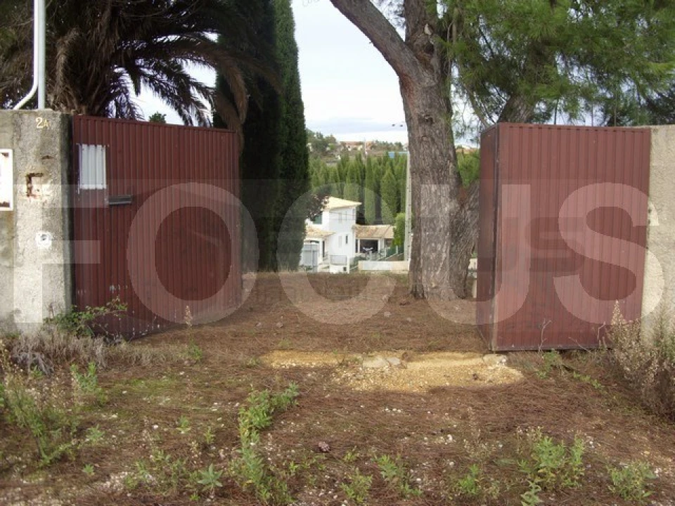 Terreno para Venda em Oliveira do Bairro Foto 8