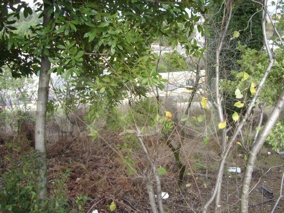 Terreno para Venda em Oliveira do Bairro Foto 9