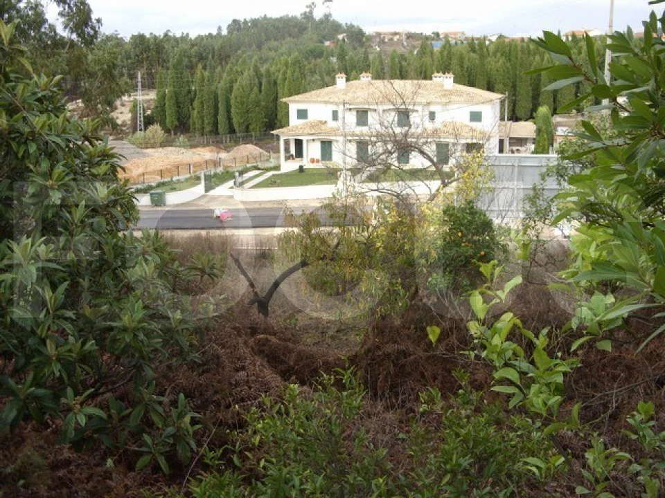 Terreno para Venda em Oliveira do Bairro Foto 10