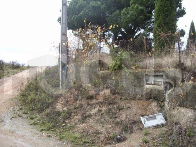 Terreno para Venda em Oliveira do Bairro Foto 3