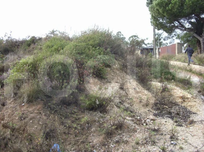 Terreno para Venda em Oliveira do Bairro Foto 5