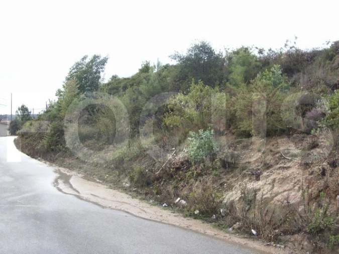 Terreno para Venda em Oliveira do Bairro Foto 6