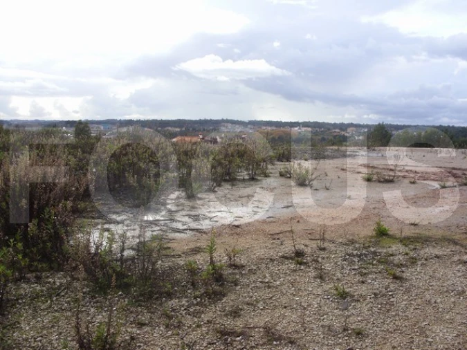 Terreno para Venda em Oliveira do Bairro Foto 1