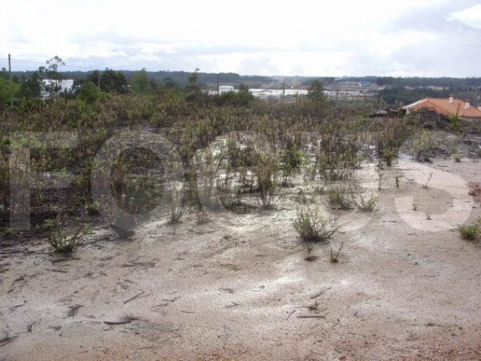 Terreno para Venda em Oliveira do Bairro Foto 7