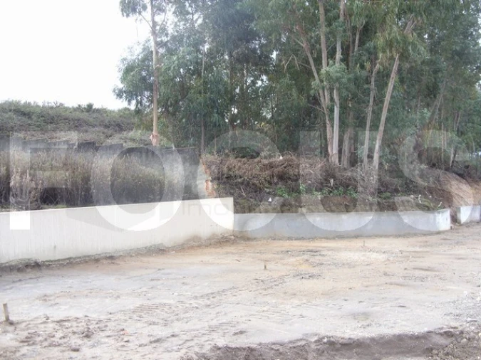 Terreno para Venda em Oliveira do Bairro Foto 11