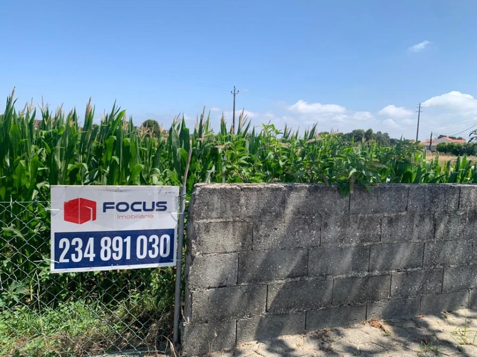 Terreno para Venda em Santa Joana Foto 6