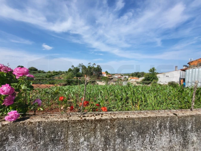 Terreno para Venda em São João de Loure e Frossos Foto 3