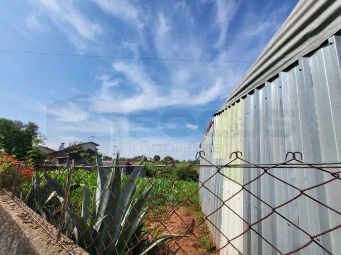 Terreno para Venda em São João de Loure e Frossos Foto 4